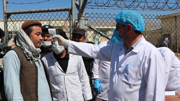COVID-19: Afghan Health Ministry reaches limit of tests