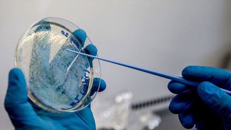 Germany to buy 23% stake in firm to spur virus vaccine