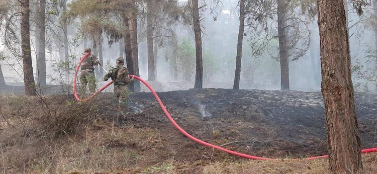 Fire, broke out in Aghsu pass in Azerbaijan's Aghsu region, extinguished