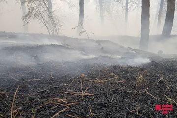 Fire on Agsu pass taken under control in a number of directions - PHOTO - VIDEO - UPDATED