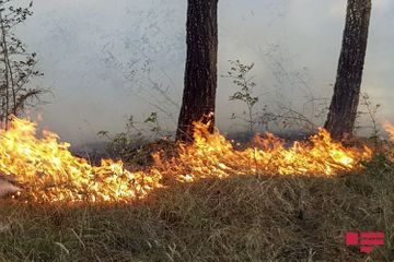 Fire on Agsu pass taken under control in a number of directions - PHOTO - VIDEO - UPDATED
