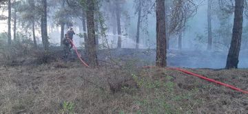 Fire on Agsu pass taken under control in a number of directions - PHOTO - VIDEO - UPDATED