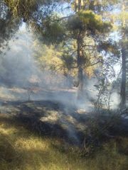 Fire on Agsu pass taken under control in a number of directions - PHOTO - VIDEO - UPDATED