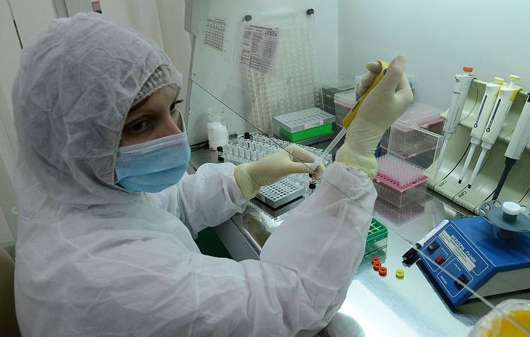 Ukraine documents record number of daily COVID-19 cases