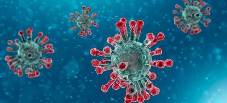 S. Africa to start Africa's first coronavirus vaccine pilot