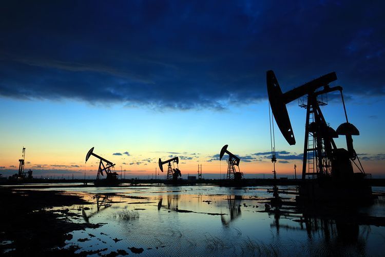 Some OPEC+ countries submit schedule of oil reduction