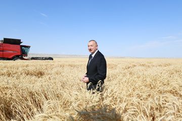 President Ilham Aliyev attended presentation of agropark in Garaaghajli village in Samukh