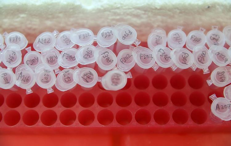 Health Ministry expert warns COVID-19 vaccine will be no panacea