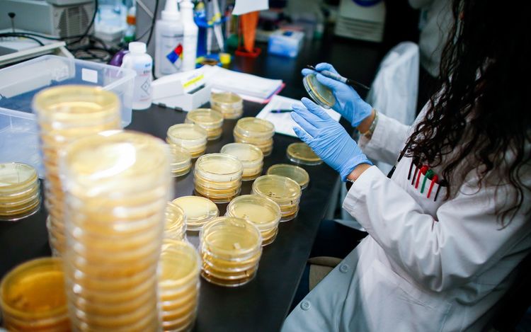 Washington State officials confirm 3 new deaths related to coronavirus
