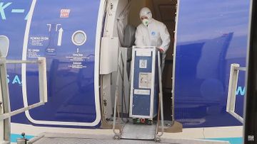 AZAL is taking special measures to prevent the spread of coronavirus - VIDEO