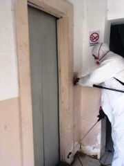 Medical and prophylactic and disinfection measures taken in Baku