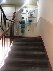 Medical and prophylactic and disinfection measures taken in Baku