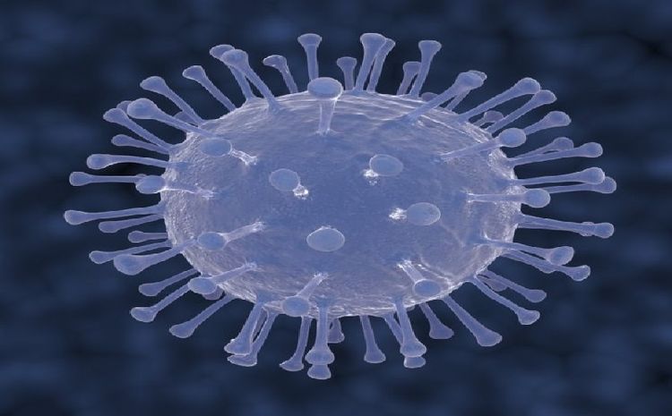 Iran has 92 coronavirus deaths, 2,922 infections
