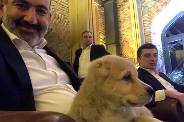 Media: Armenian PM Pashinyan's bodyguard hospitalized with coronavirus suspicion