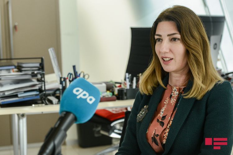 Shirin Melikova: “Garabagh, Nakhchivan, Shamakhy carpets are presented in many places as the Caucasian carpets”