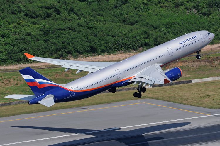 Plane makes emergency landing in Moscow