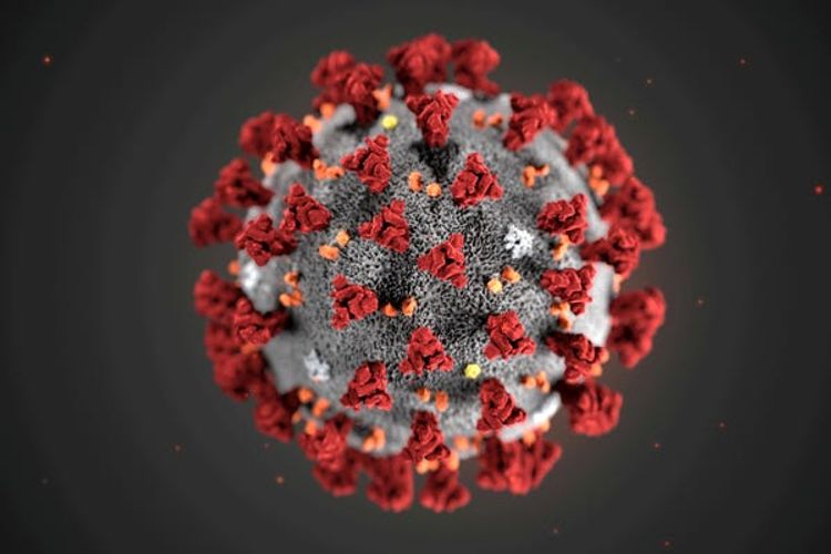 First coronavirus death confirmed in Switzerland