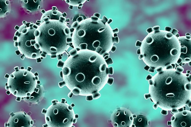 Egypt registers 12 new coronavirus cases on Nile cruise ship