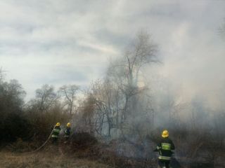 MES: Forest strip in Azerbaijan’s Oghuz protected from fire   