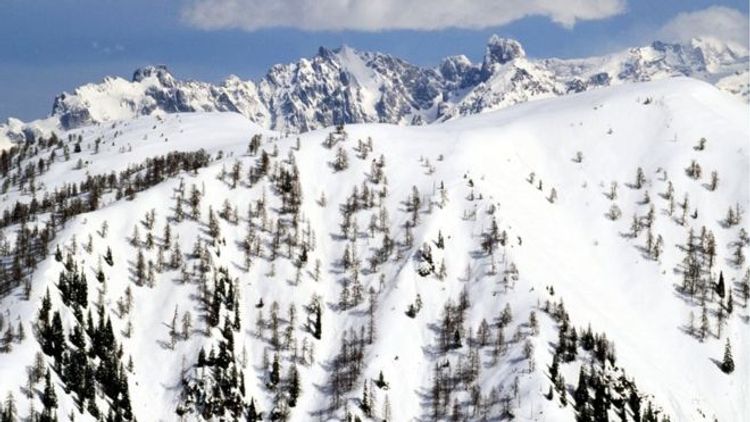 Avalanches in Austrian Alps kill at least six