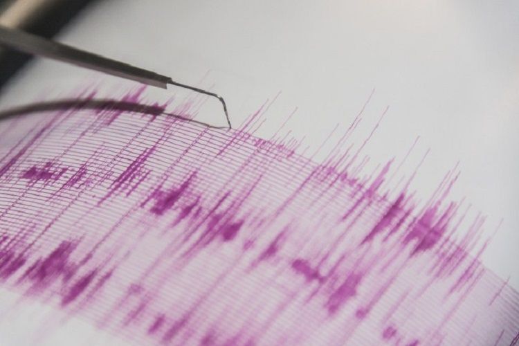 4-magnitude earthquake hits Iran