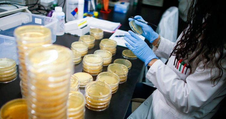 Russia hands over to Iran 500 test systems for detecting novel coronavirus