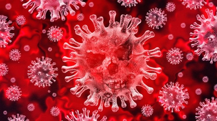 German state of Bavaria closes schools to slow coronavirus epidemic