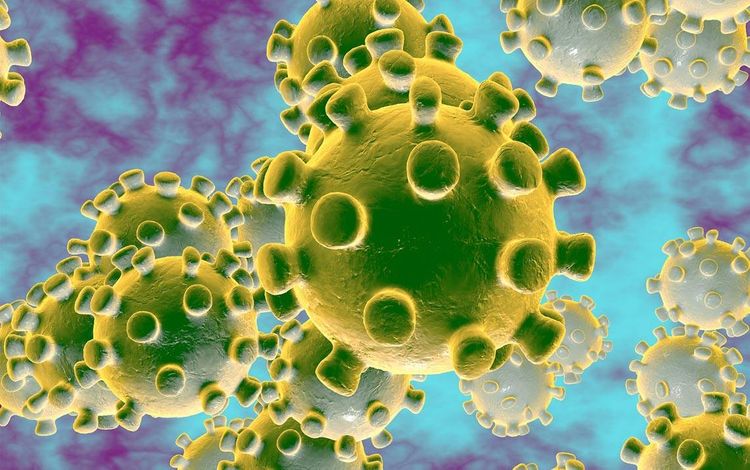 English Premier League suspends games until 3 April amid coronavirus fears