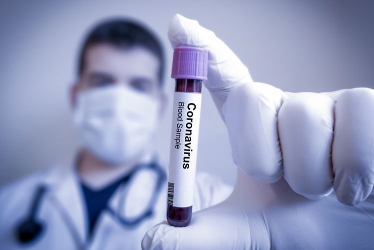 WHO: Number of people infected with coronavirus reaches 146 314, 72 556 recovered, 5442 died