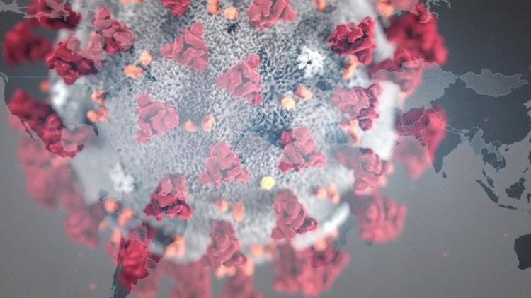 Armenia reports 52 coronavirus cases