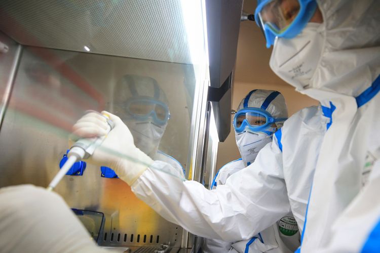China reports 21 newly confirmed novel coronavirus cases in past day 