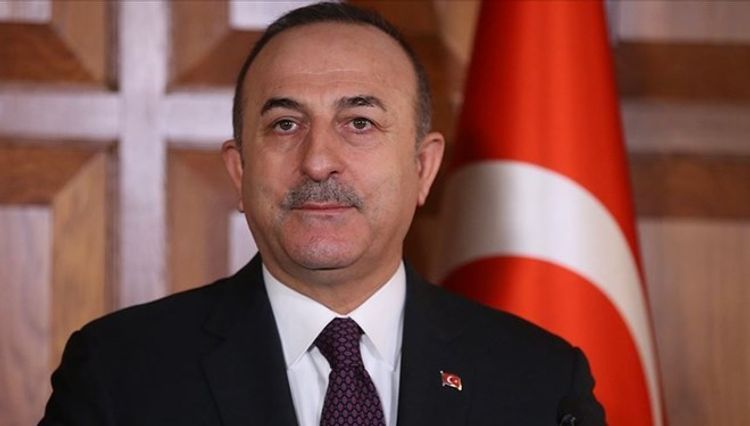 Turkish FM announces the number of Turkish citizens to be evacuated from Europe