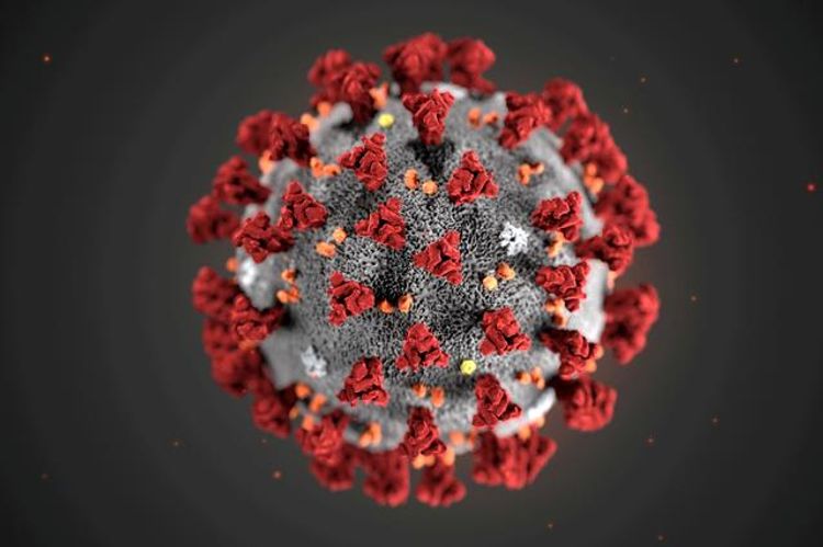 Embassies in Azerbaijan make some changes in their activities due to coronavirus threat - UPDATED