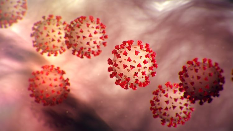 Copa America football tournament postponed due to coronavirus