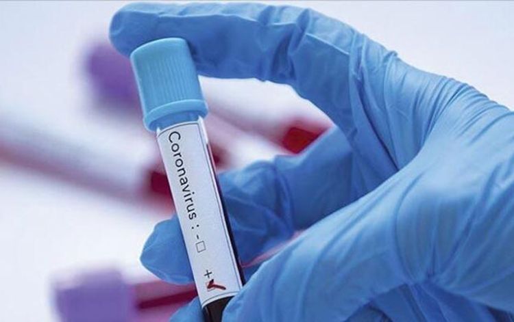 Coronavirus infection ratio in children is more in Georgia than other countries