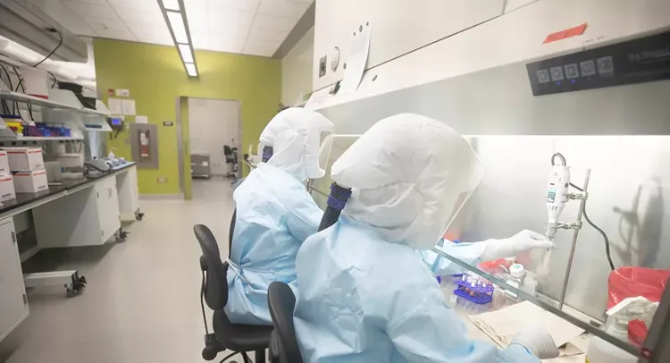 Australia to begin human trials of potentially effective coronavirus treatments