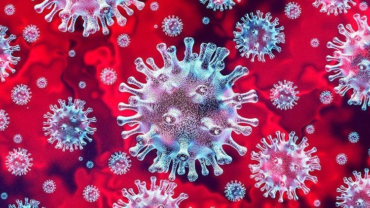 8 new cases of coronavirus recorded in Armenia