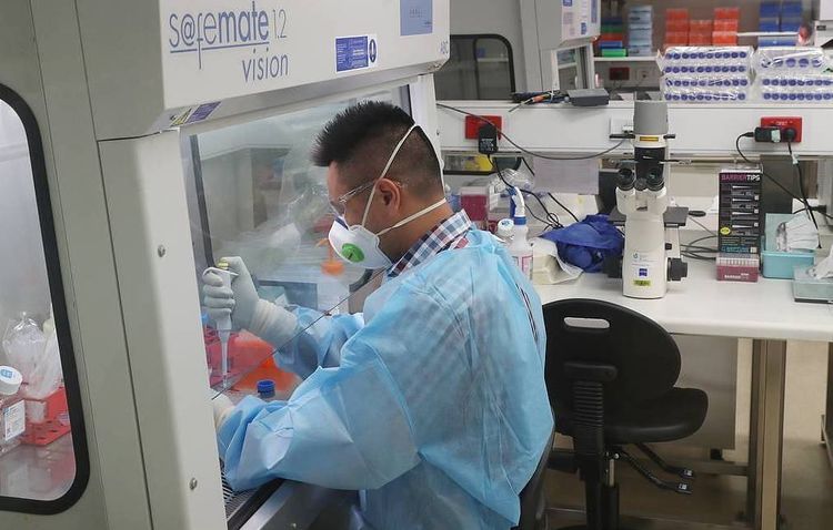 Testing COVID-19 vaccines to take no less than six months, says scientist