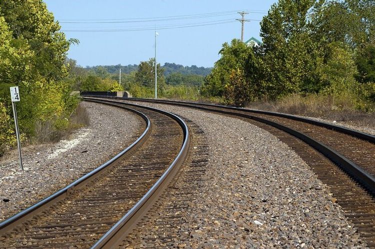 Movement of domestic trains temporarily restored