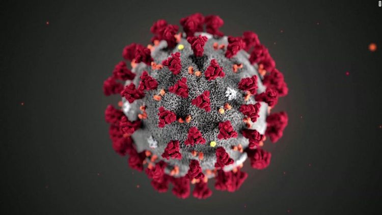 German coronavirus cases rise by 4,764 cases to 27,436