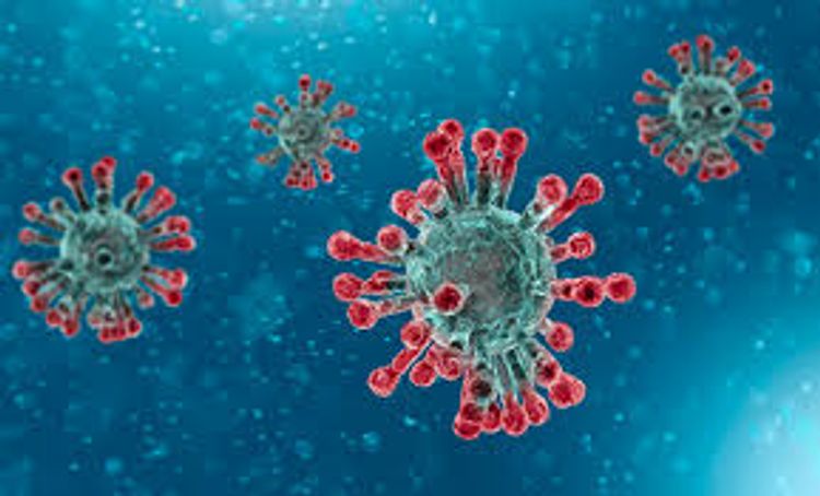 Former Finnish President Martti Ahtisaari tests positive for coronavirus