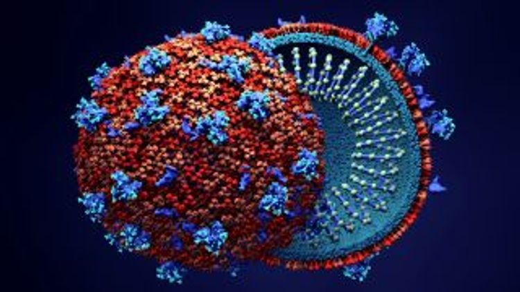Spain reports 6,600 new coronavirus cases overnight, over 500 dead