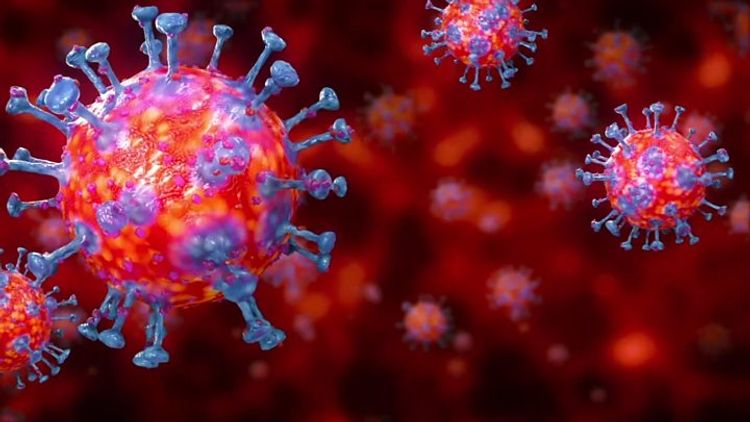 U.S. could become next coronavirus epicentre, WHO says