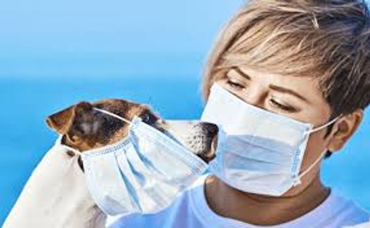 Pets don’t spread coronavirus, Russian watchdog assures