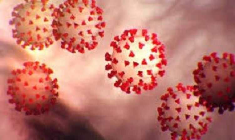 Number of coronavirus patients in Armenia reaches 249