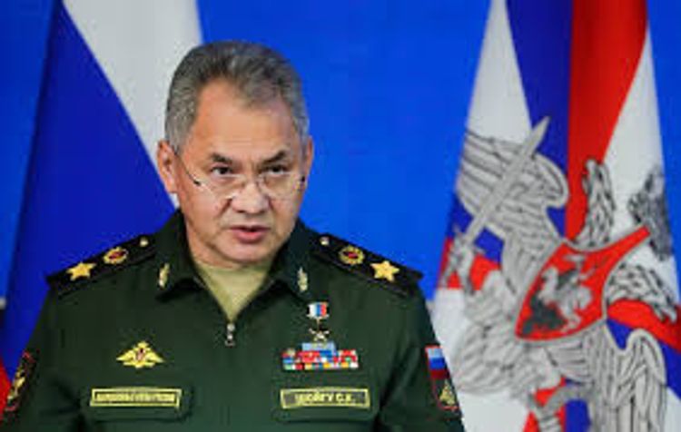 Russian Defence Ministry to build 16 infectious disease centres in country by 16 May