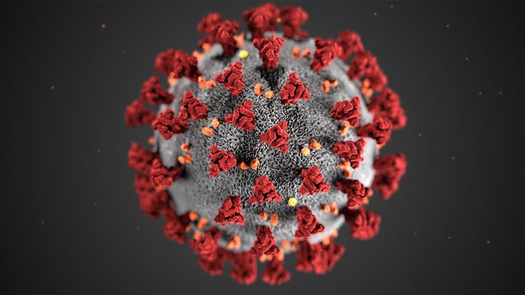 Russia's Consumer Protection watchdog: "New test to uncover COVID-19 immunity to come out next week"