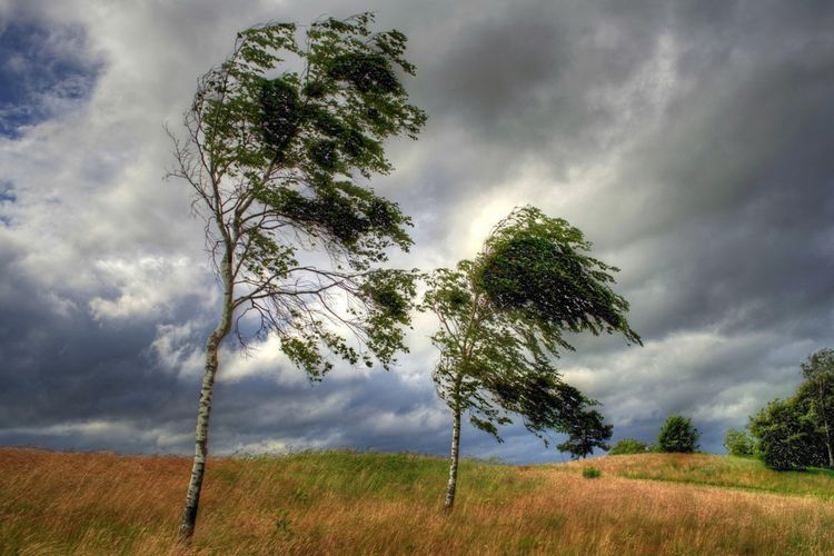 Weather to sharply change in Azerbaijan’s regions - WARNING