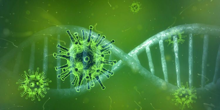 Russian Health Ministry: Production of new system to test for coronavirus has started 