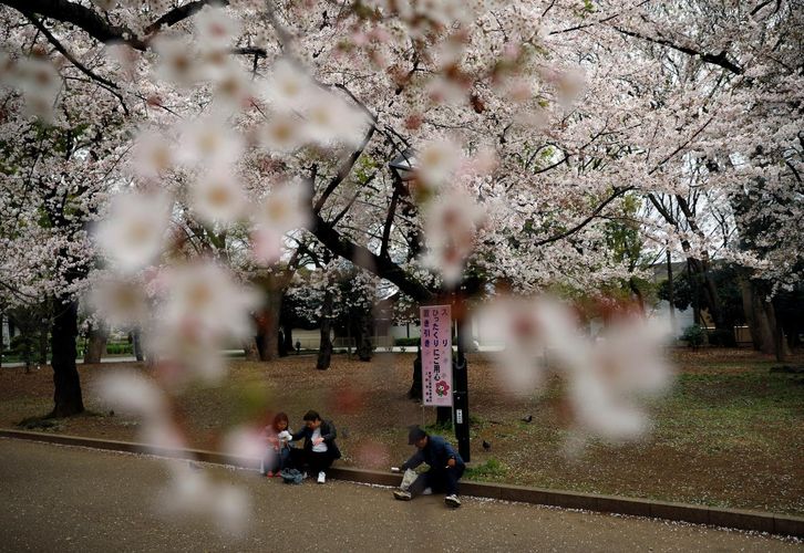 Tokyo confirms more than 50 new coronavirus cases, record daily increase